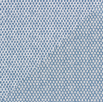 Burma Performance Fabric Summer Blue (Reversible)