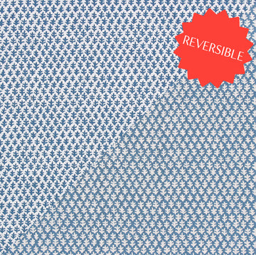 color-name:Summer Blue