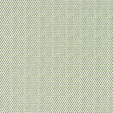 Burmese Fabric - Sister Parish color-name:Green