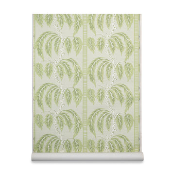 color-name:Palm Green